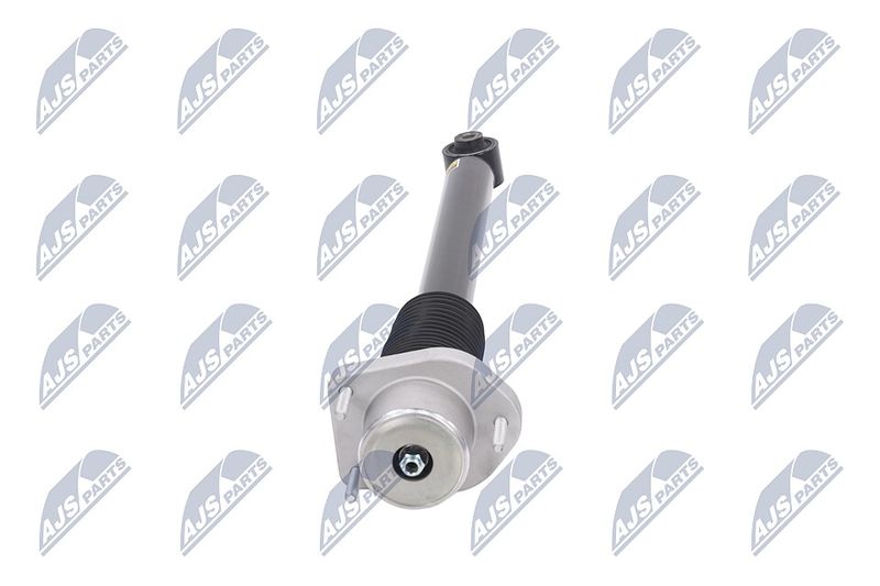 Amort, NTY A-LR-015