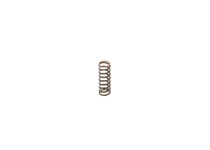 BOSCH 2444618009 Spring