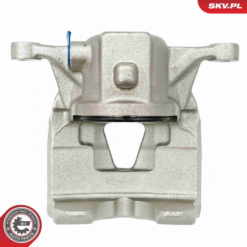 ESEN SKV 56SKV841 Brake Caliper