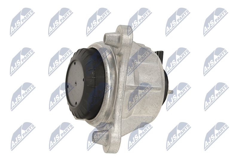 Paigutus, Mootor, NTY ZPS-ME-065