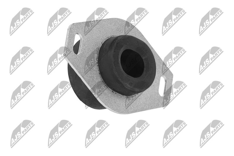 Paigutus, Mootor, NTY ZPS-PE-009