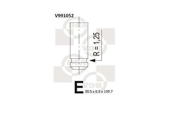 V991052.JPG