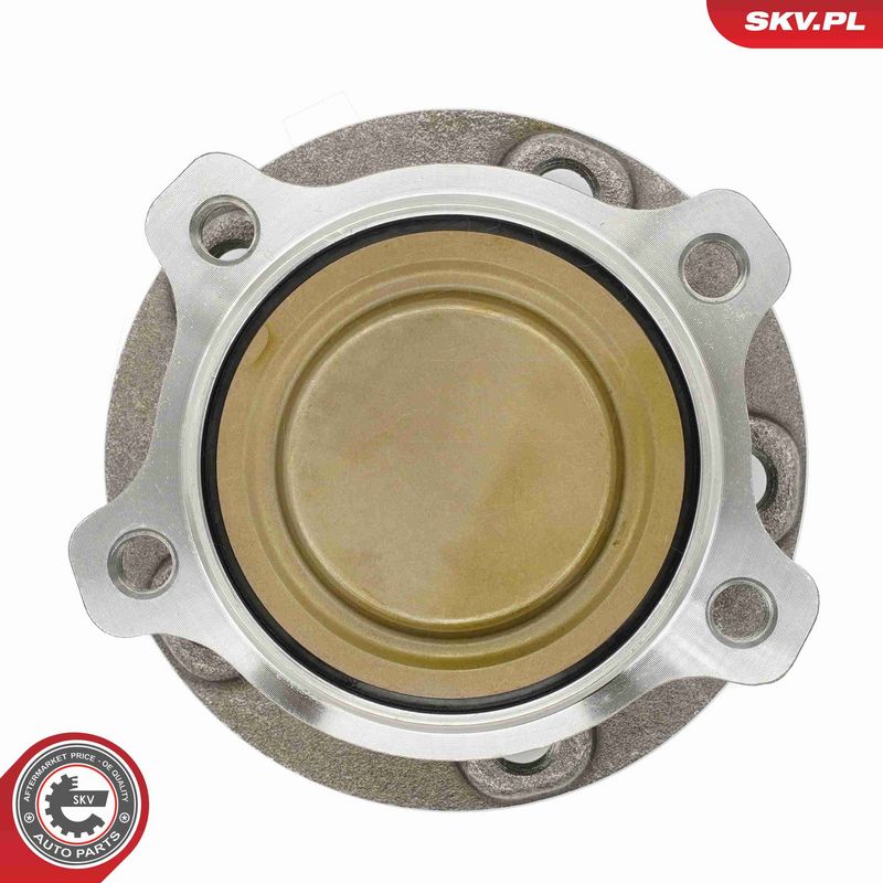 ESEN SKV 29SKV307 Wheel Bearing Kit