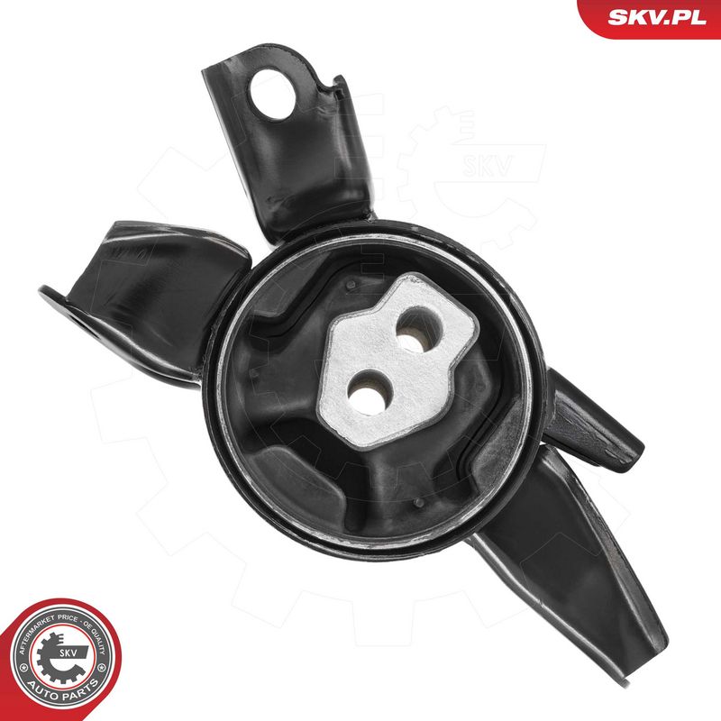 Paigutus, Mootor, ESEN SKV 75SKV274