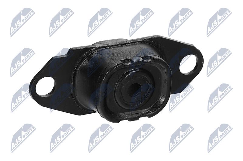 Paigutus, Mootor, NTY ZPS-NS-080