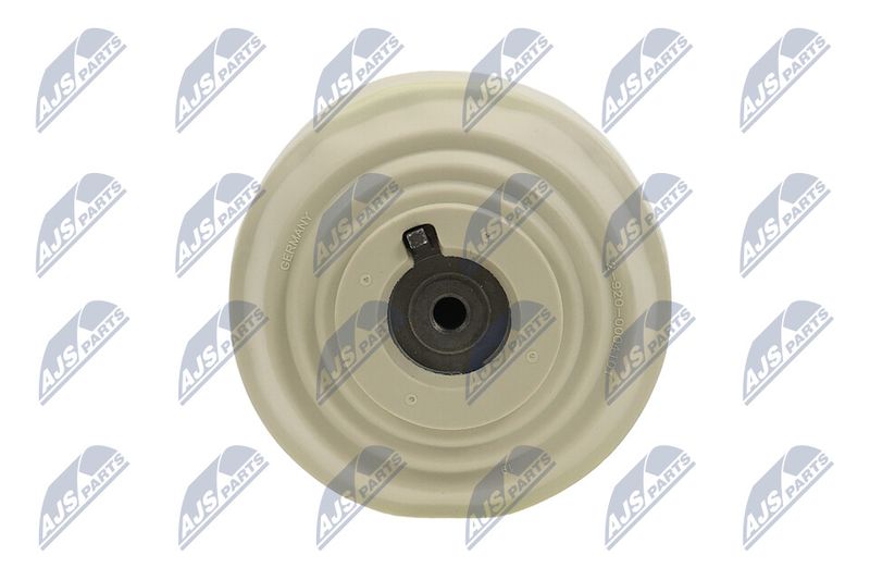 Paigutus, Mootor, NTY ZPS-ME-101