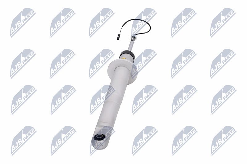 Amort, NTY A-MA-003