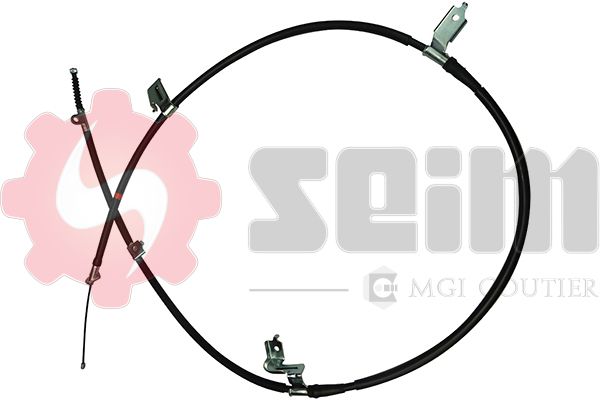 555074.JPG