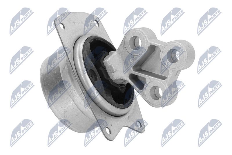 Paigutus, Mootor, NTY ZPS-PL-025