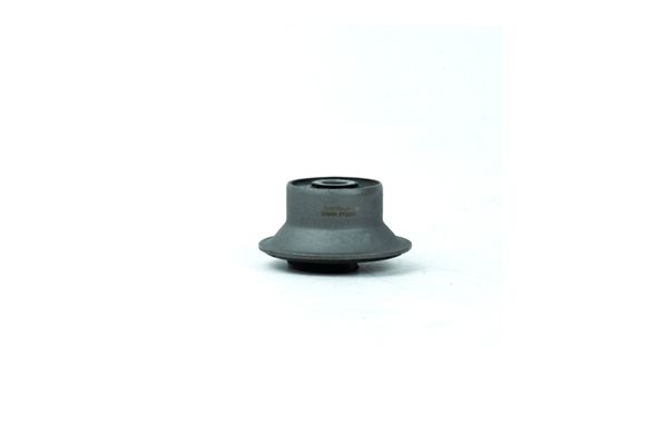 ZentParts Z25431 Mounting, control/trailing arm