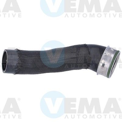 VE55820.JPG