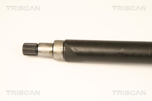 854016589_2.JPG