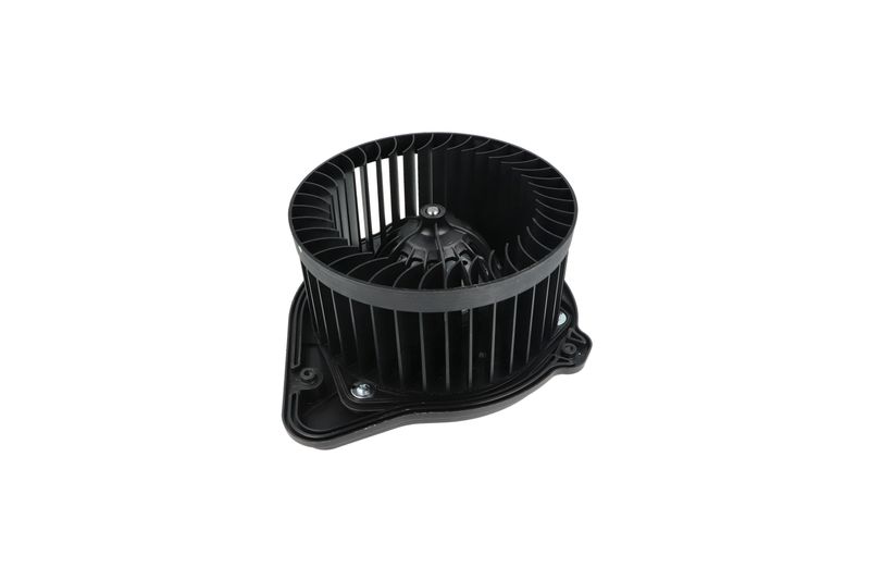 Salongipuhur, NRF 34136