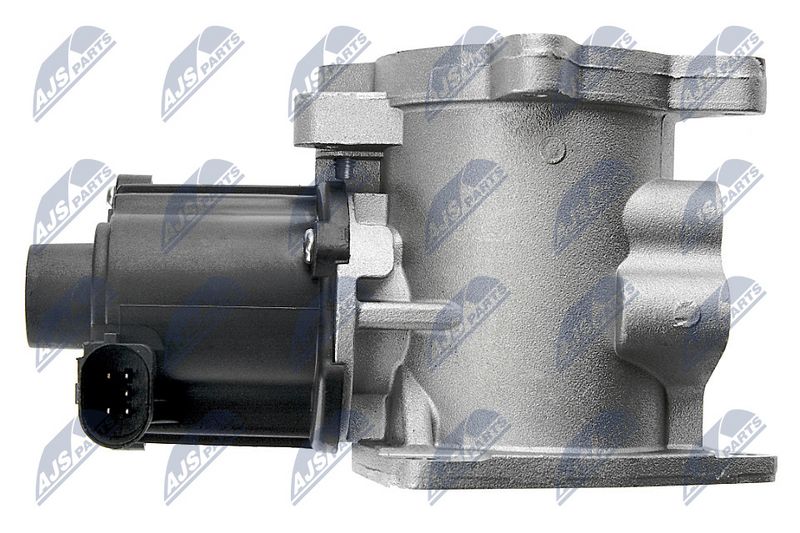 egr-vw-003_4-wm.JPG