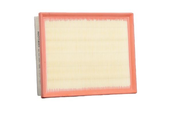 MOTRIO 8660003099 Air Filter