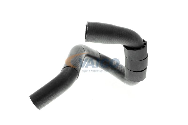 VAICO V10-4664 Talosa Radiator Hose
