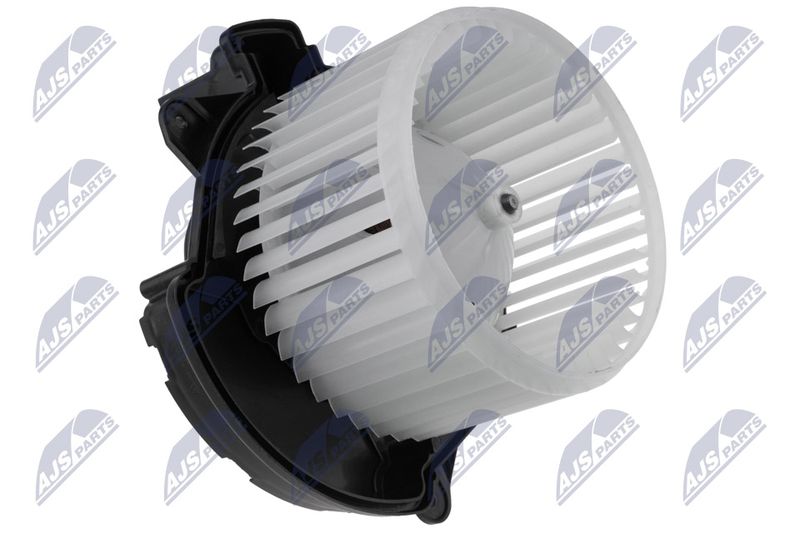 EWN-FT-008_1-WM.JPG