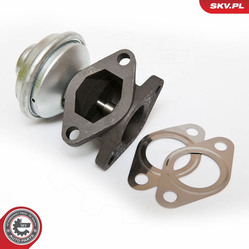 ESEN SKV 14SKV052 EGR Valve
