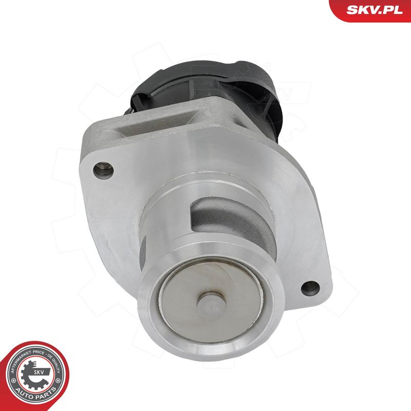 EGR-klapp, ESEN SKV 14SKV302