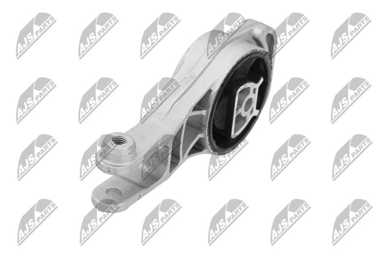 Paigutus, Mootor, NTY ZPS-PL-080