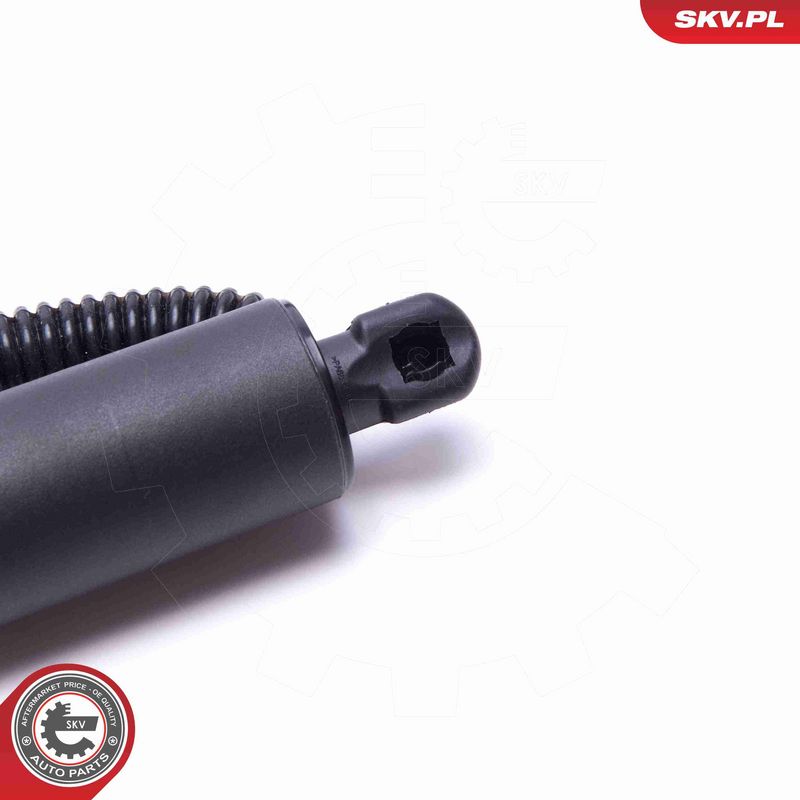 ESEN SKV 52SKV903 Electric Motor, tailgate