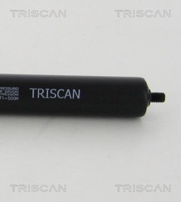 TRIS87101022352500_2.JPG