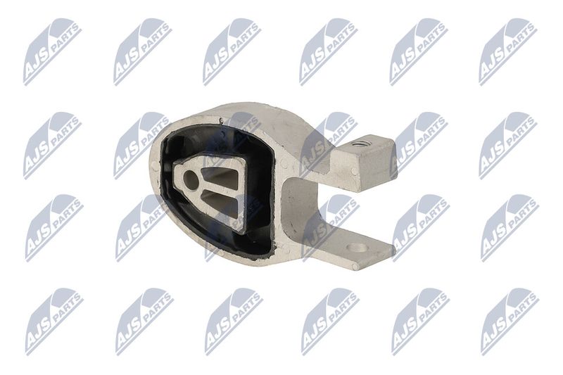 Paigutus, Mootor, NTY ZPS-FR-037