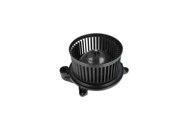 Salongipuhur, NRF 34365