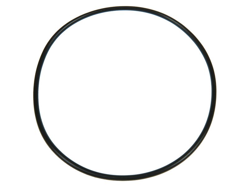 Brand new AS-PL Starter motor o-ring