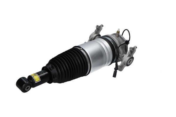 Kavo Parts SAS-10042 Air Suspension Strut