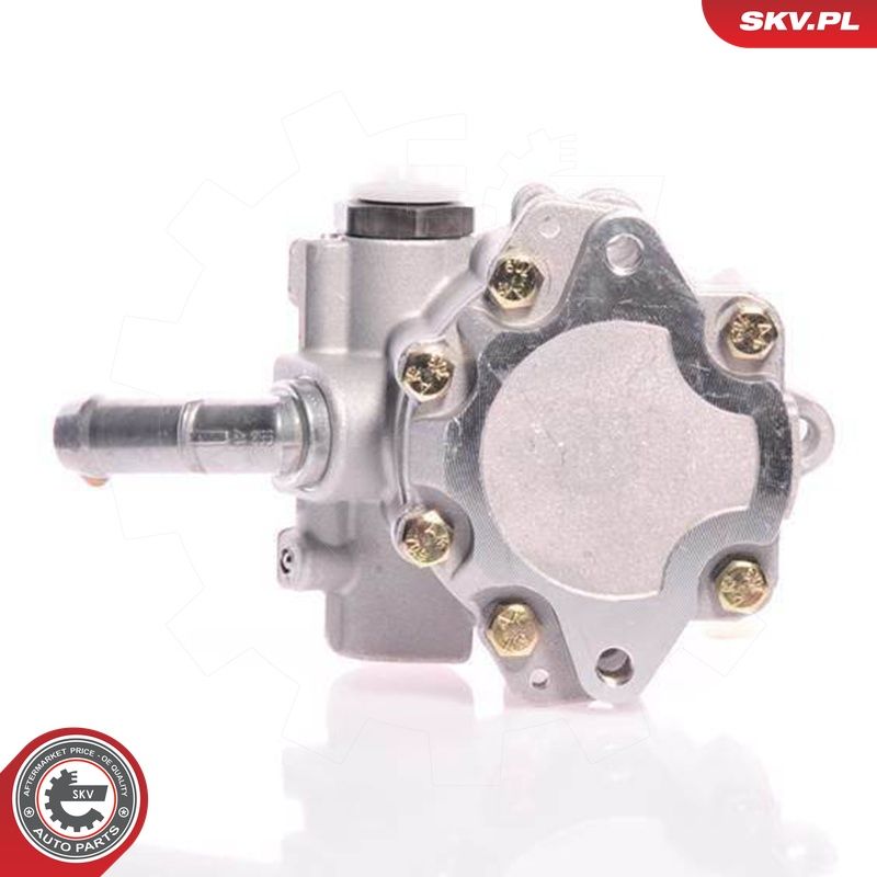 Hüdraulikapump, roolimine, ESEN SKV 10SKV165