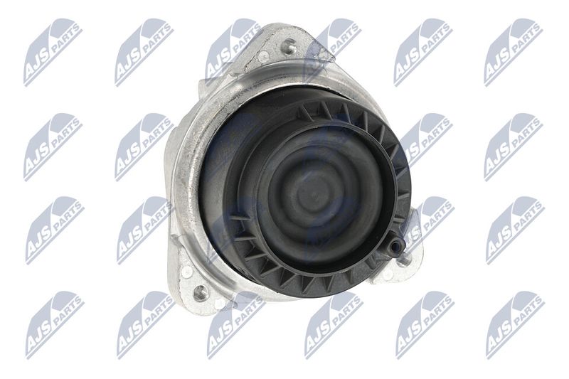 Paigutus, Mootor, NTY ZPS-BM-048