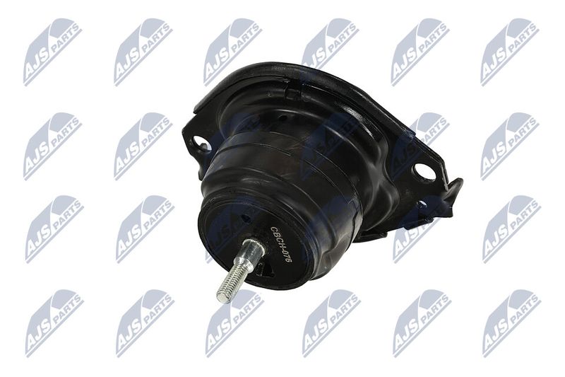 Paigutus, Mootor, NTY ZPS-CH-076