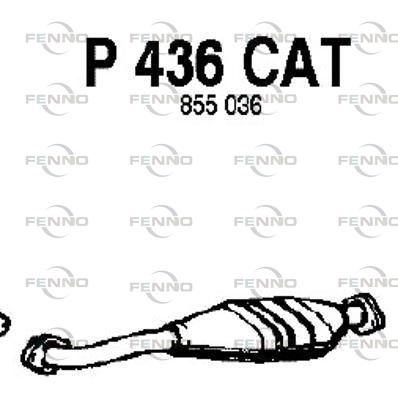 P436CAT.JPG