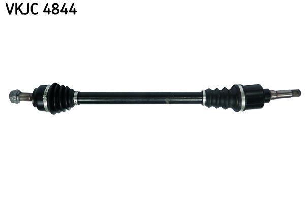 VKJC 4844.JPG