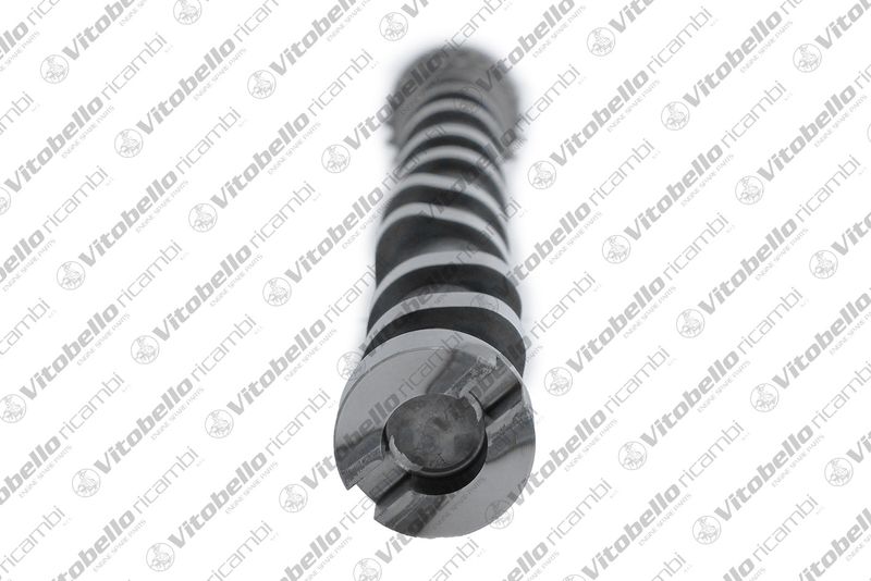 Vitobello ricambi 1004399NO Camshaft