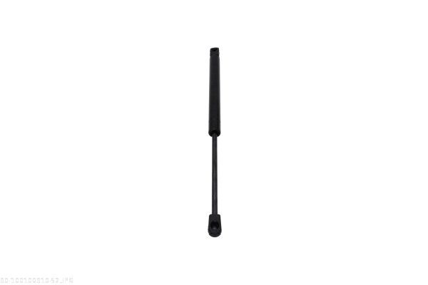 AUTOMEGA 100100910 Gas Spring, bonnet