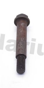 BOL26AWPHOTO.JPG