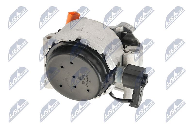 Paigutus, Mootor, NTY ZPS-AU-016