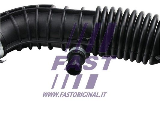 FT65705_3_1.JPG