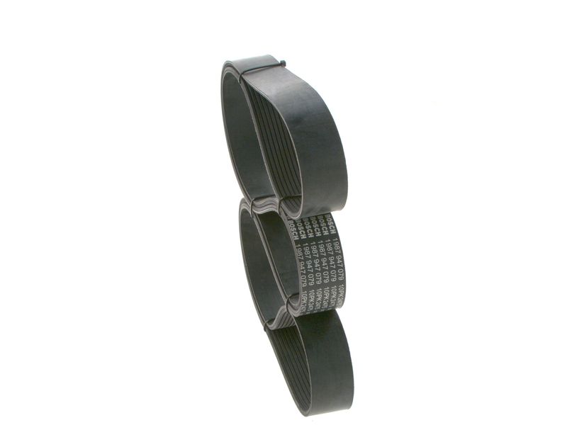 BOSCH 1987947079 V-ribbed Belt