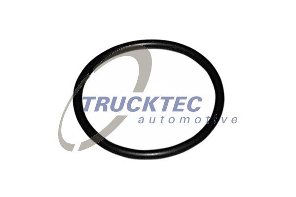 Ущільнення, термостат, Trucktec Automotive 07.19.039