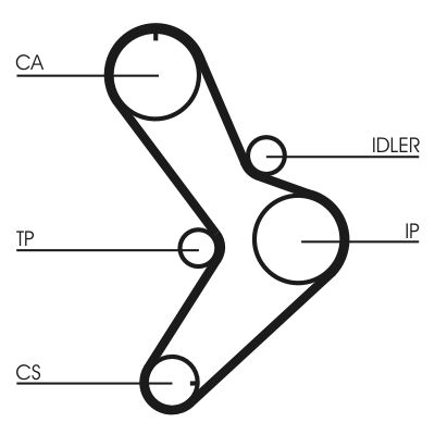 CONTINENTAL CTAM Fogasszíj CT731