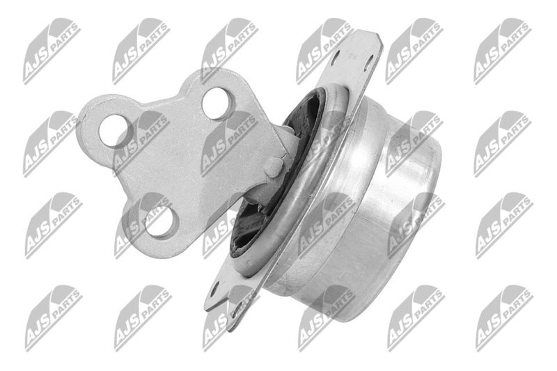 Paigutus, Mootor, NTY ZPS-PL-025
