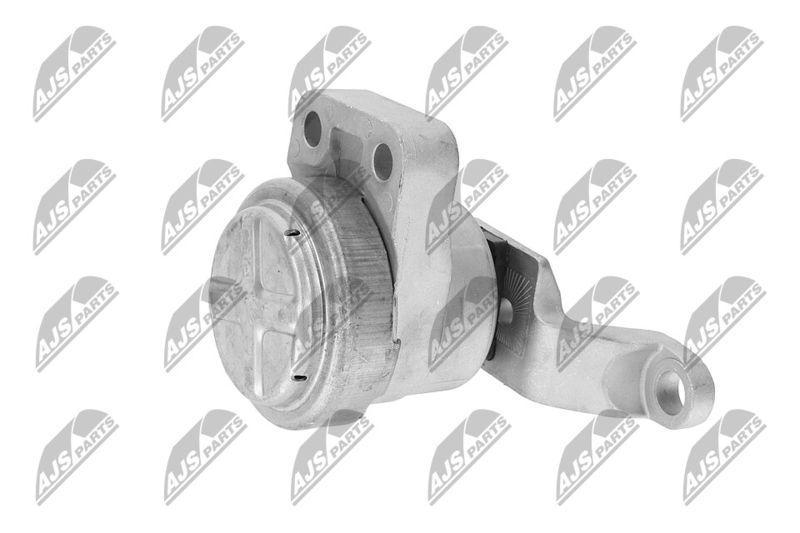 Paigutus, Mootor, NTY ZPS-FR-033