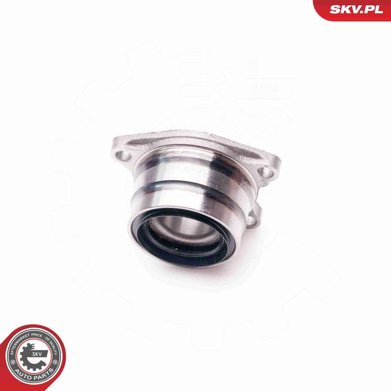 ESEN SKV 29SKV123 Wheel Bearing Kit