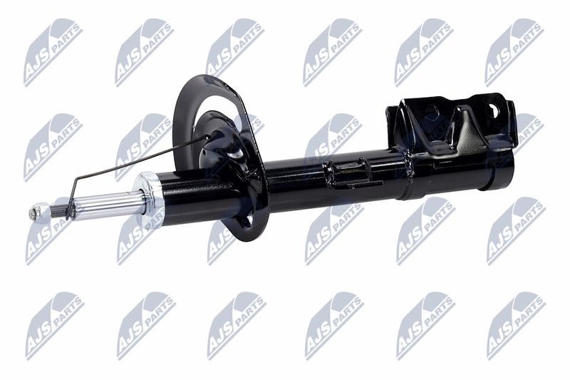 Amort, NTY A-CH-057