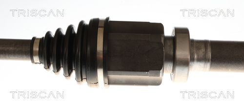854027582_3.JPG
