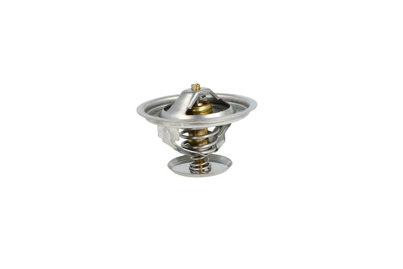 NRF 725198 Thermostat, coolant