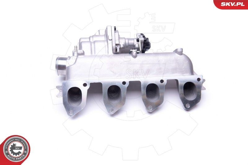 ESEN SKV 14SKV155 EGR Valve